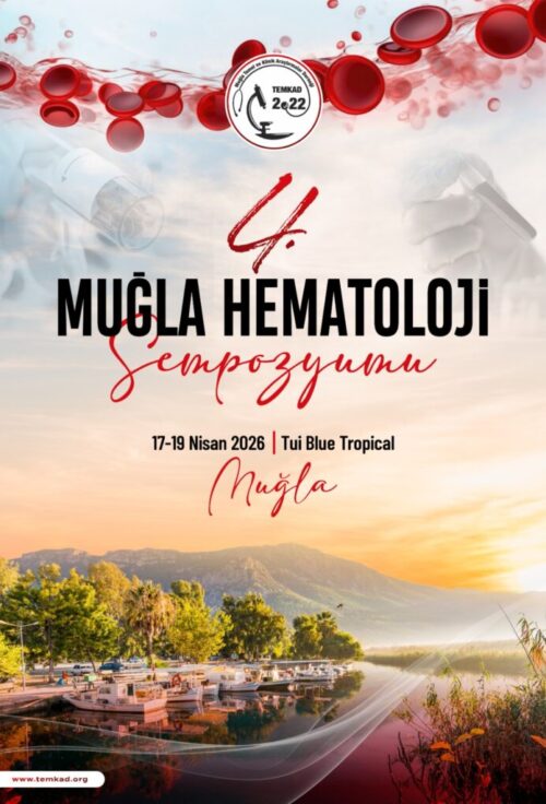 WhatsApp Image 2026-01-23 at 13.37.04